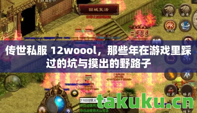 传世私服 12woool,那些年在游戏里踩过的坑与摸出的野路子 传世私服 12woool,那些年在游戏里踩过的坑与摸出的野路子