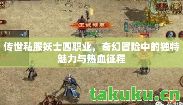 传世私服妖士四职业，奇幻冒险中的独特魅力与热血征程