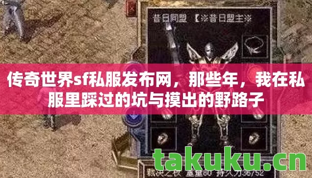 传奇世界sf私服发布网，那些年，我在私服里踩过的坑与摸出的野路子