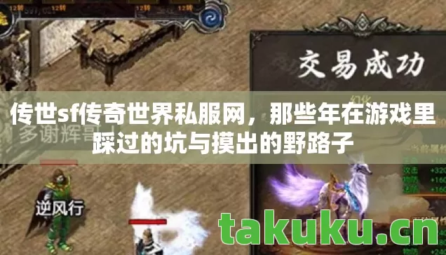 传世sf传奇世界私服网,那些年在游戏里踩过的坑与摸出的野路子 传世sf传奇世界私服网,那些年在游戏里踩过的坑与摸出的野路子