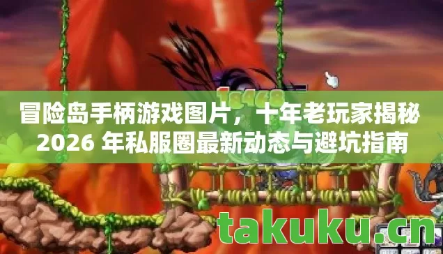 冒险岛手柄游戏图片,十年老玩家揭秘 2026 年私服圈最新动态与避坑指南 冒险岛手柄游戏图片,十年老玩家揭秘 2026 年私服圈最新动态与避坑指南
