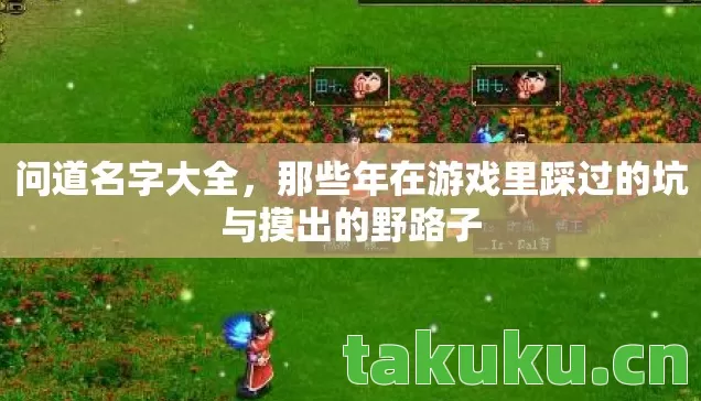 问道名字大全,那些年在游戏里踩过的坑与摸出的野路子 问道名字大全,那些年在游戏里踩过的坑与摸出的野路子