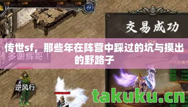 传世sf,那些年在阵营中踩过的坑与摸出的野路子 传世sf,那些年在阵营中踩过的坑与摸出的野路子