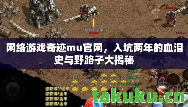 网络游戏奇迹mu官网,入坑两年的血泪史与野路子大揭秘 网络游戏奇迹mu官网,入坑两年的血泪史与野路子大揭秘