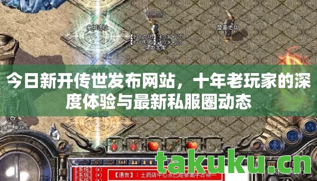 今日新开传世发布网站，十年老玩家的深度体验与最新私服圈动态