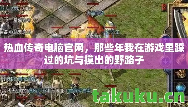 热血传奇电脑官网，那些年我在游戏里踩过的坑与摸出的野路子