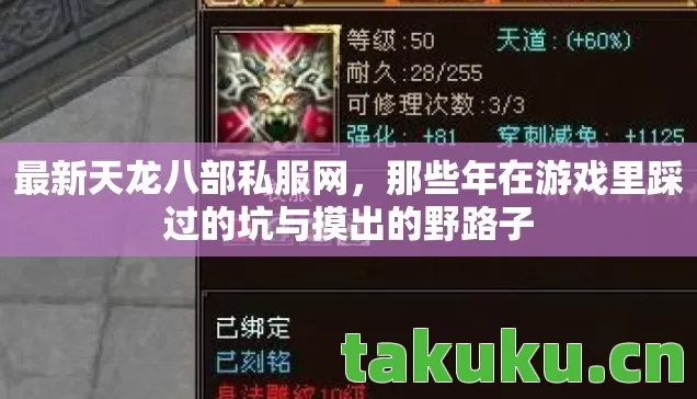 最新天龙八部私服网,那些年在游戏里踩过的坑与摸出的野路子 最新天龙八部私服网,那些年在游戏里踩过的坑与摸出的野路子