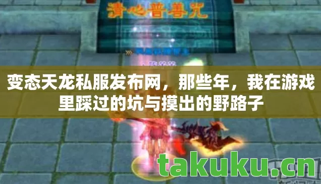 变态天龙私服发布网，那些年，我在游戏里踩过的坑与摸出的野路子