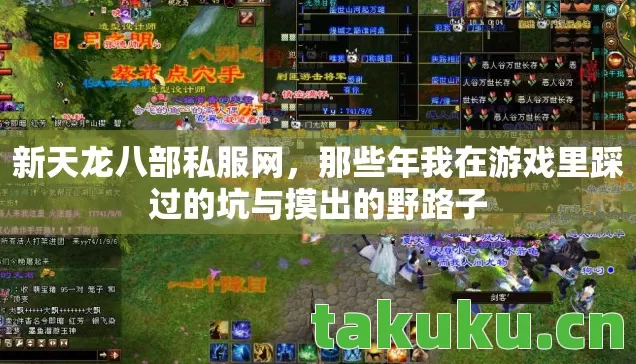 新天龙八部私服网,那些年我在游戏里踩过的坑与摸出的野路子 新天龙八部私服网,那些年我在游戏里踩过的坑与摸出的野路子