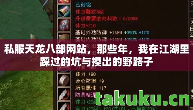 私服天龙八部网站,那些年,我在江湖里踩过的坑与摸出的野路子 私服天龙八部网站,那些年,我在江湖里踩过的坑与摸出的野路子