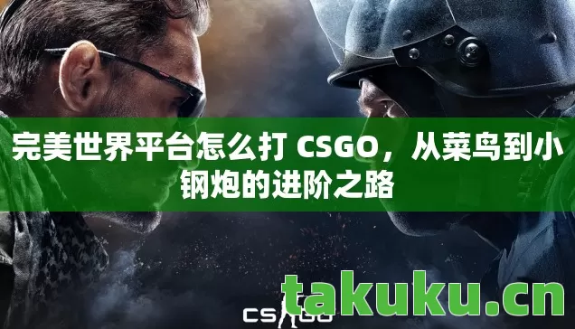 完美世界平台怎么打 CSGO，从菜鸟到小钢炮的进阶之路