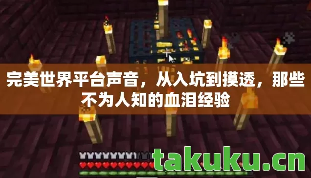 完美世界平台声音,从入坑到摸透,那些不为人知的血泪经验 完美世界平台声音,从入坑到摸透,那些不为人知的血泪经验