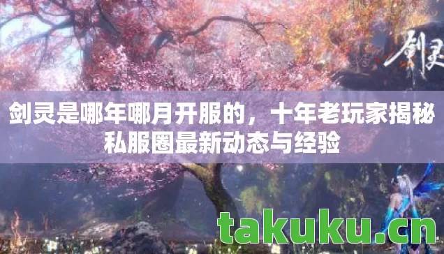剑灵是哪年哪月开服的,十年老玩家揭秘私服圈最新动态与经验 剑灵是哪年哪月开服的,十年老玩家揭秘私服圈最新动态与经验