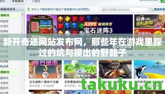新开奇迹网站发布网，那些年在游戏里踩过的坑与摸出的野路子