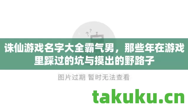 诛仙游戏名字大全霸气男,那些年在游戏里踩过的坑与摸出的野路子 诛仙游戏名字大全霸气男,那些年在游戏里踩过的坑与摸出的野路子