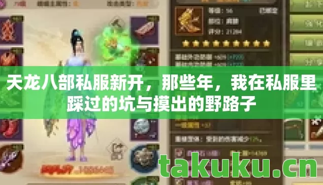天龙八部私服新开,那些年,我在私服里踩过的坑与摸出的野路子 天龙八部私服新开,那些年,我在私服里踩过的坑与摸出的野路子