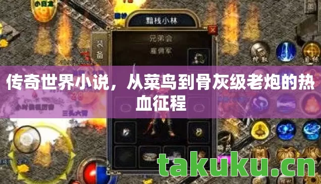 传奇世界小说，从菜鸟到骨灰级老炮的热血征程