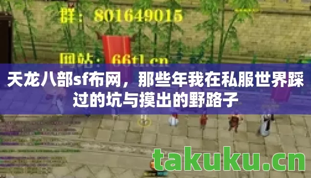 天龙八部sf布网，那些年我在私服世界踩过的坑与摸出的野路子