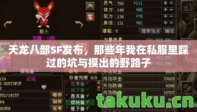 天龙八部SF发布，那些年我在私服里踩过的坑与摸出的野路子