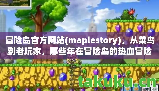 冒险岛官方网站(maplestory),从菜鸟到老玩家,那些年在冒险岛的热血冒险 冒险岛官方网站(maplestory),从菜鸟到老玩家,那些年在冒险岛的热血冒险
