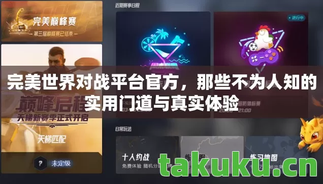 完美世界对战平台官方，那些不为人知的实用门道与真实体验