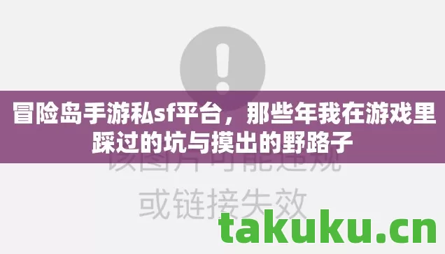 冒险岛手游私sf平台，那些年我在游戏里踩过的坑与摸出的野路子
