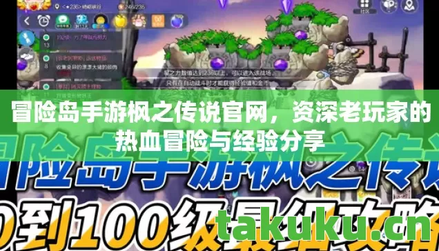 冒险岛手游枫之传说官网，资深老玩家的热血冒险与经验分享