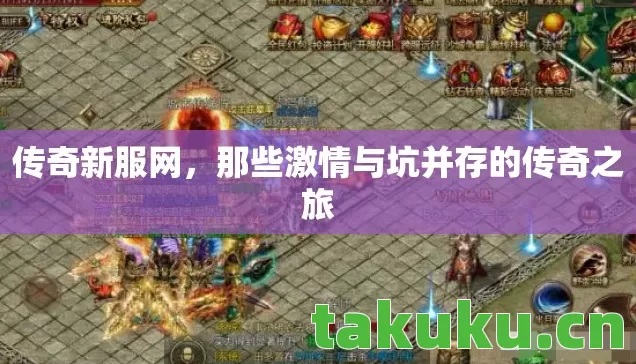 传奇新服网，那些激情与坑并存的传奇之旅