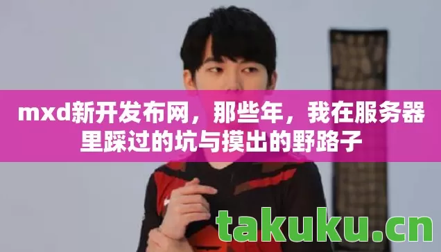 mxd新开发布网，那些年，我在服务器里踩过的坑与摸出的野路子