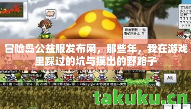 冒险岛公益服发布网，那些年，我在游戏里踩过的坑与摸出的野路子