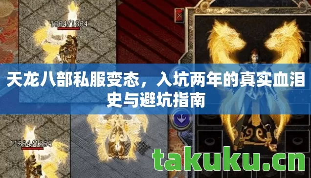 天龙八部私服变态，入坑两年的真实血泪史与避坑指南