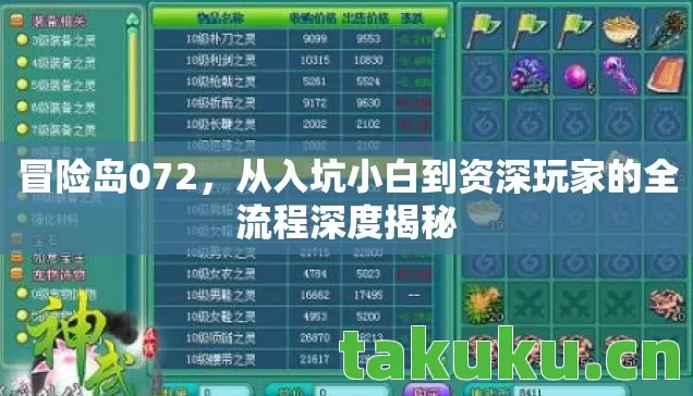 冒险岛072，从入坑小白到资深玩家的全流程深度揭秘