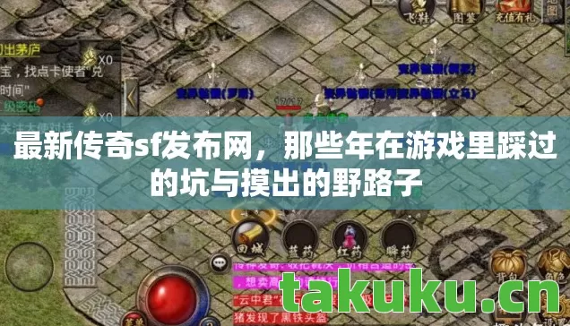 最新传奇sf发布网，那些年在游戏里踩过的坑与摸出的野路子