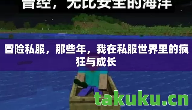 冒险私服，那些年，我在私服世界里的疯狂与成长