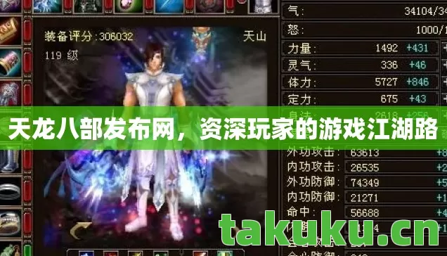 天龙八部发布网，资深玩家的游戏江湖路