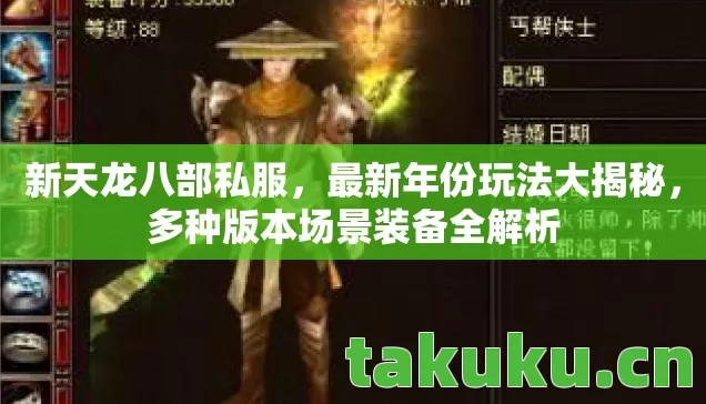 新天龙八部私服，最新年份玩法大揭秘，多种版本场景装备全解析