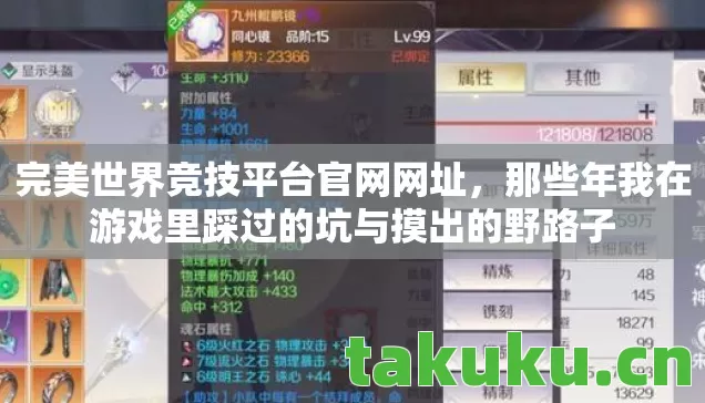 完美世界竞技平台官网网址，那些年我在游戏里踩过的坑与摸出的野路子