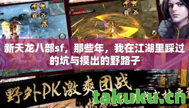 新天龙八部sf，那些年，我在江湖里踩过的坑与摸出的野路子