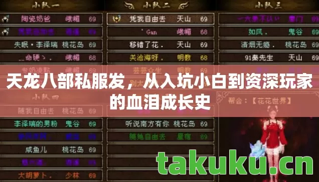 天龙八部私服发，从入坑小白到资深玩家的血泪成长史