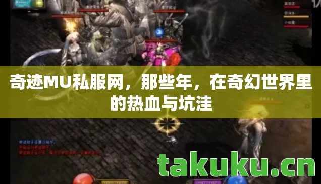 奇迹MU私服网，那些年，在奇幻世界里的热血与坑洼