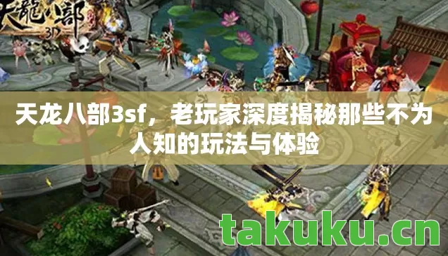 天龙八部3sf，老玩家深度揭秘那些不为人知的玩法与体验
