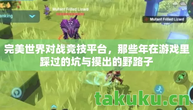 完美世界对战竞技平台，那些年在游戏里踩过的坑与摸出的野路子