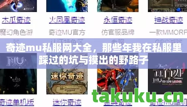 奇迹mu私服网大全，那些年我在私服里踩过的坑与摸出的野路子