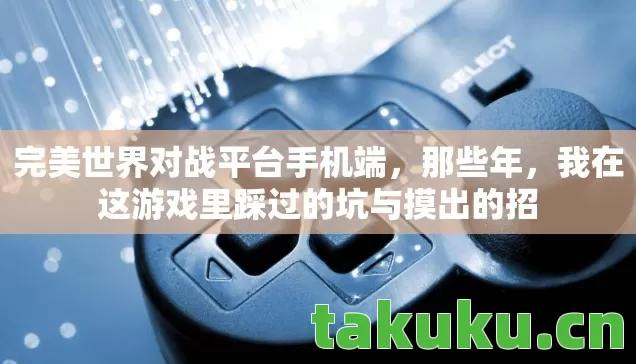 完美世界对战平台手机端，那些年，我在这游戏里踩过的坑与摸出的招