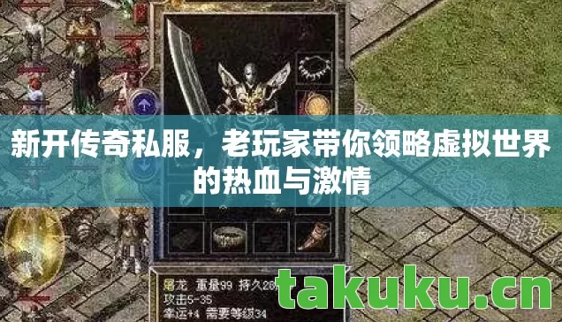 新开传奇私服，老玩家带你领略虚拟世界的热血与激情