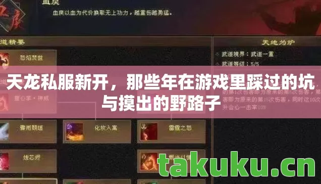 天龙私服新开，那些年在游戏里踩过的坑与摸出的野路子