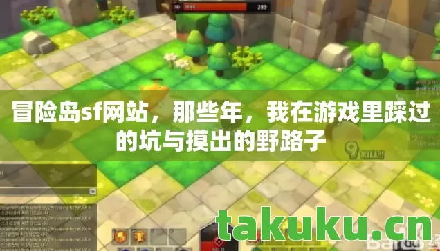 冒险岛sf网站，那些年，我在游戏里踩过的坑与摸出的野路子