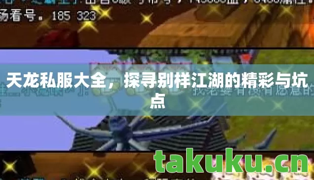 天龙私服大全，探寻别样江湖的精彩与坑点