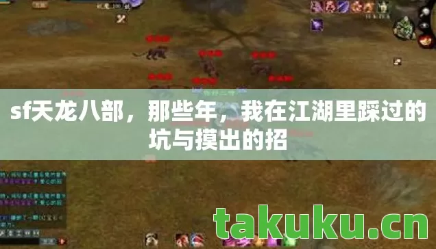 sf天龙八部，那些年，我在江湖里踩过的坑与摸出的招