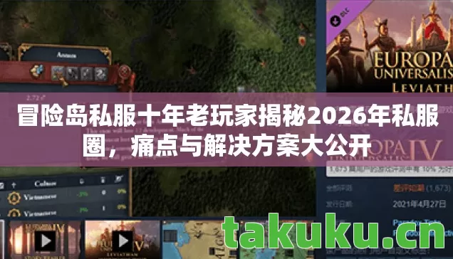 冒险岛私服十年老玩家揭秘2026年私服圈，痛点与解决方案大公开
